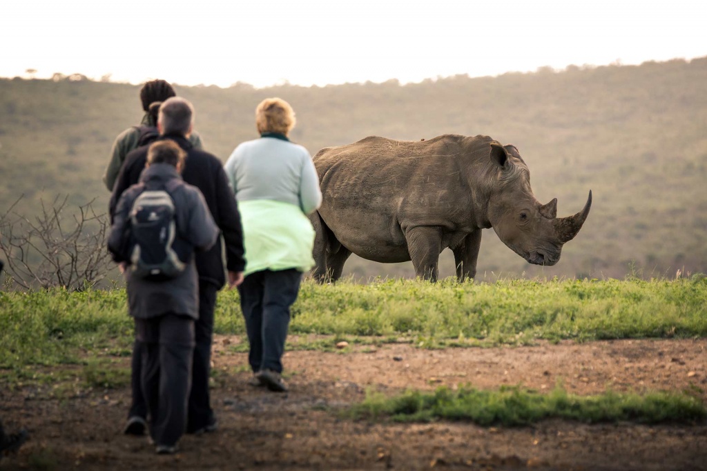 wildlife conservation experience with rhinos Bush Marine Tours