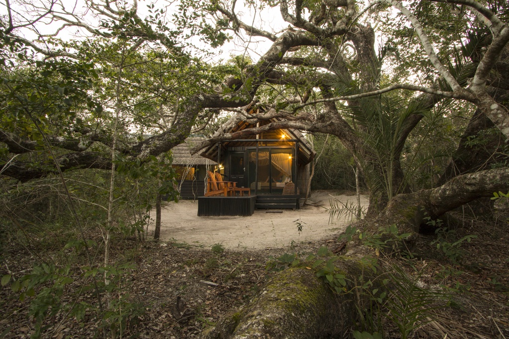 Forest accommodation - Bush Marine Tours