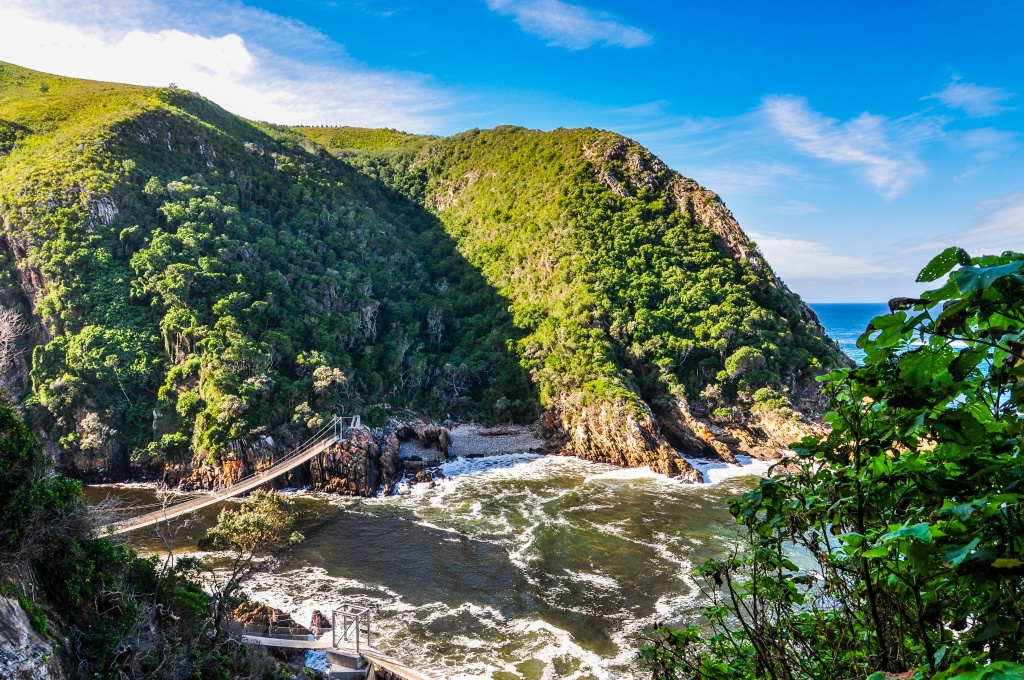 Garden Route family adventure_Bush Marine Tours