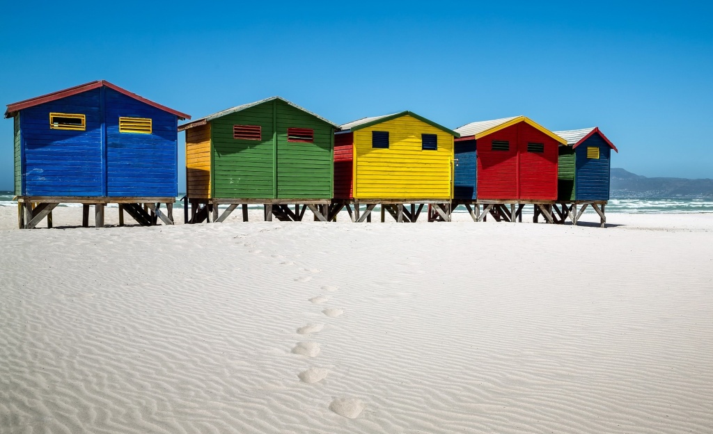 Cape Town and Beyond Bush Marine Tours