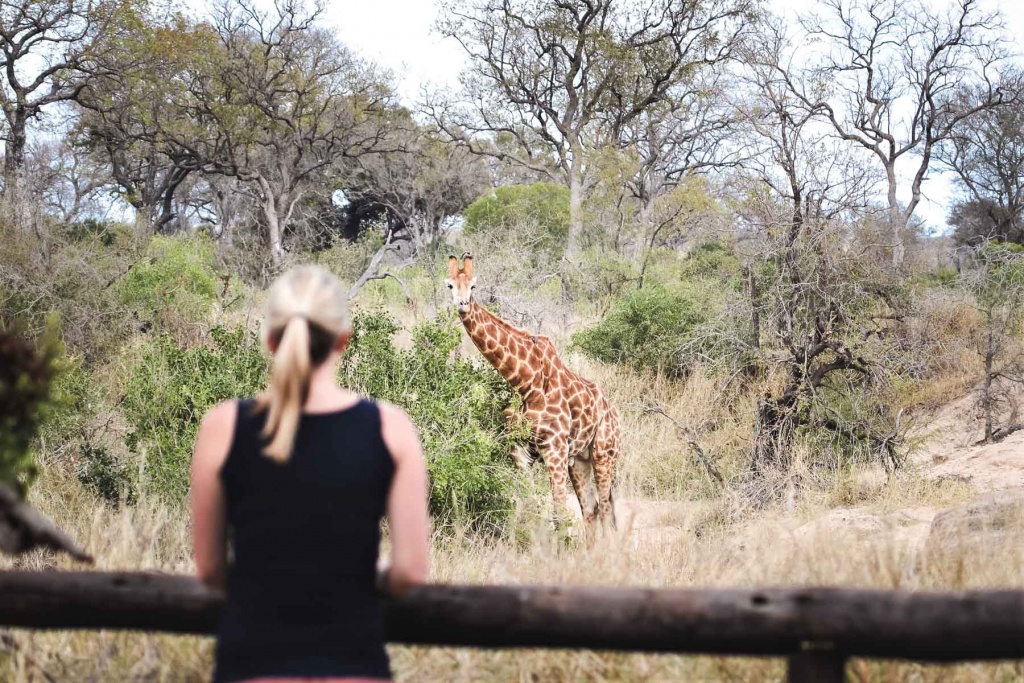 Bespoke Africa - Bush Marine Tours