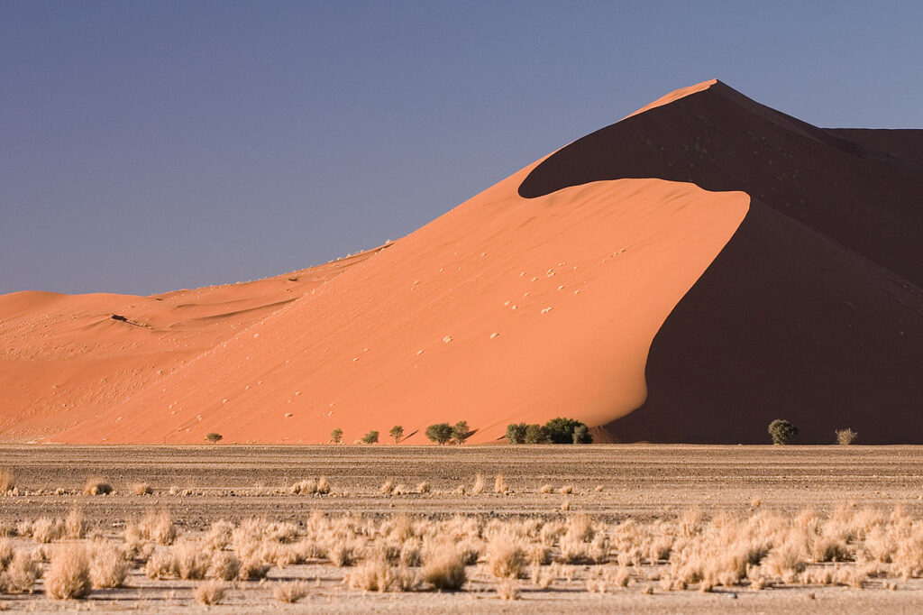 Dune 45, Sossusvlei, Namibia - Bush Marine Tours