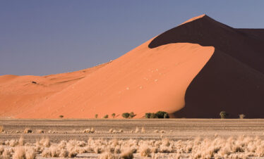 Dune 45, Sossusvlei, Namibia - Bush Marine Tours